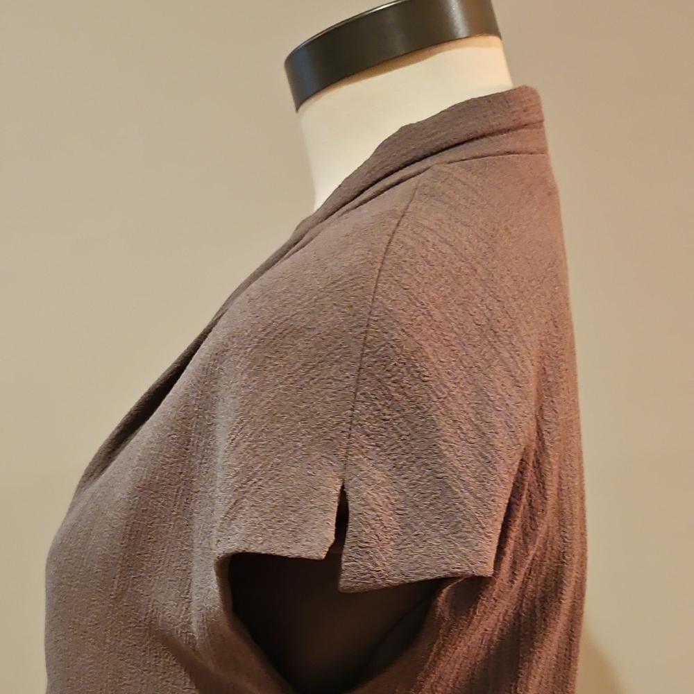 Carmen Marc Valvo Tan Dress - Picture 4 of 6